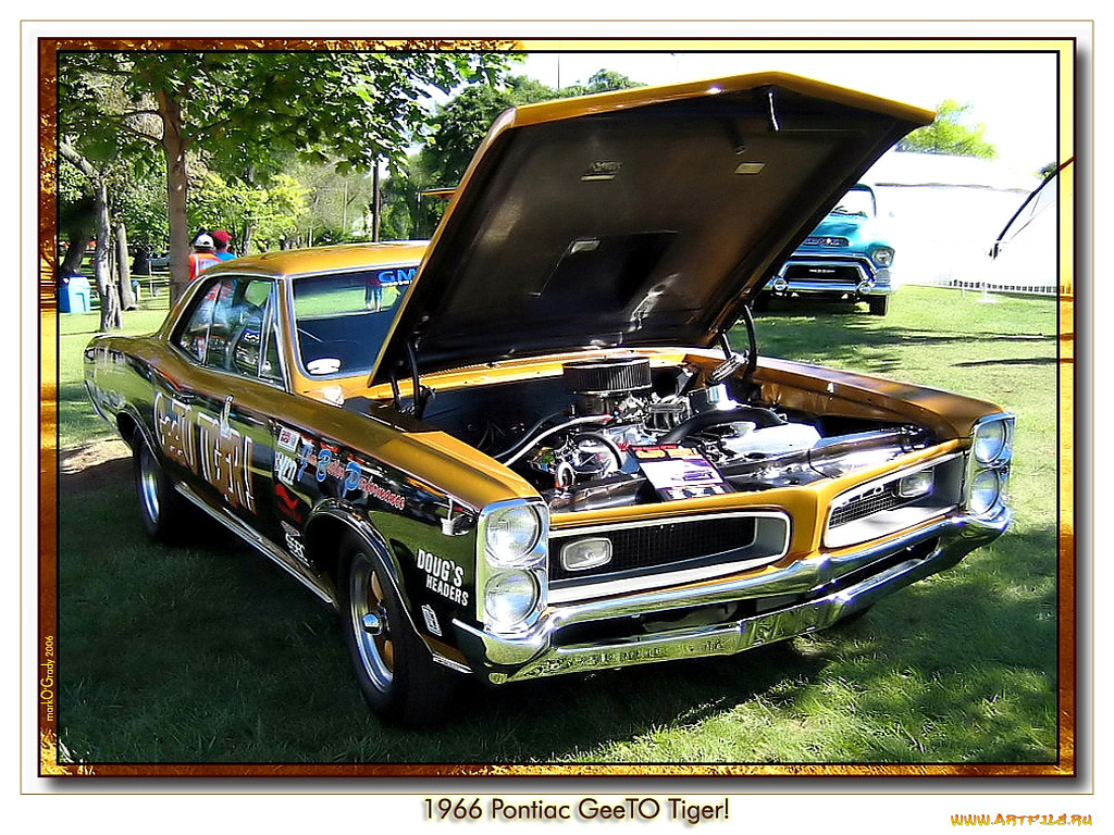 1966, geeto, tiger, , pontiac